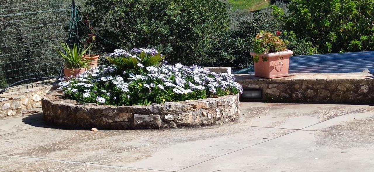 Home A&G Contrada Fumarola Ostuni Zewnętrze zdjęcie